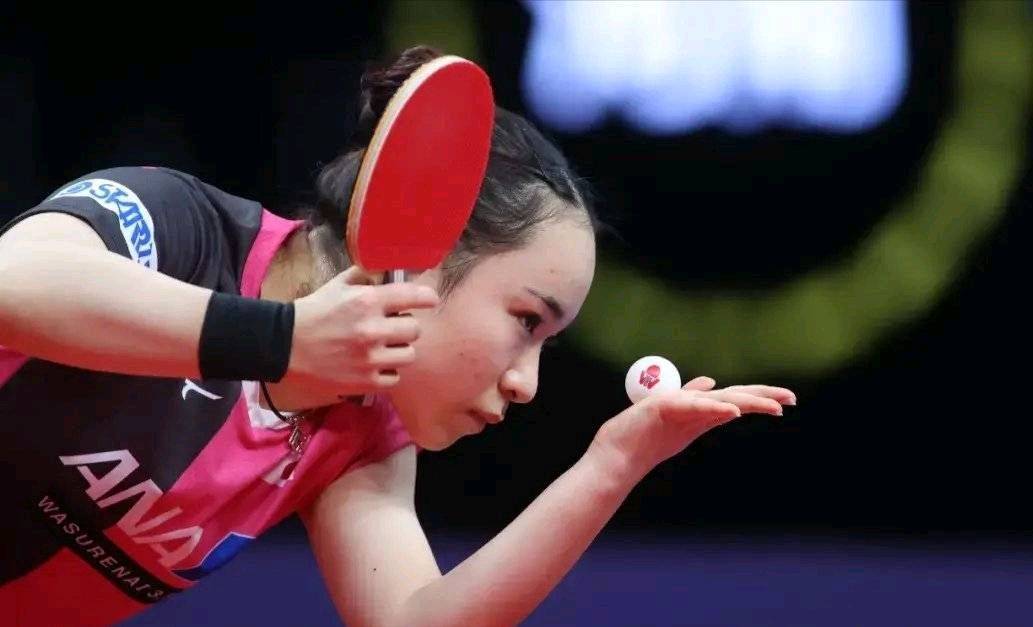 奥尔良羽球 奥尔良羽球