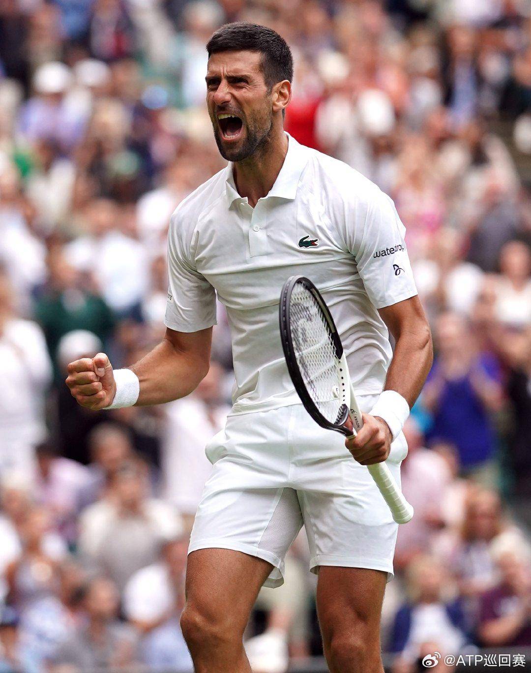 二次组织 二次组织